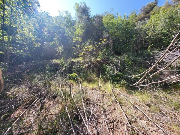 Terrain - 16415 m² Exclusivité efficity