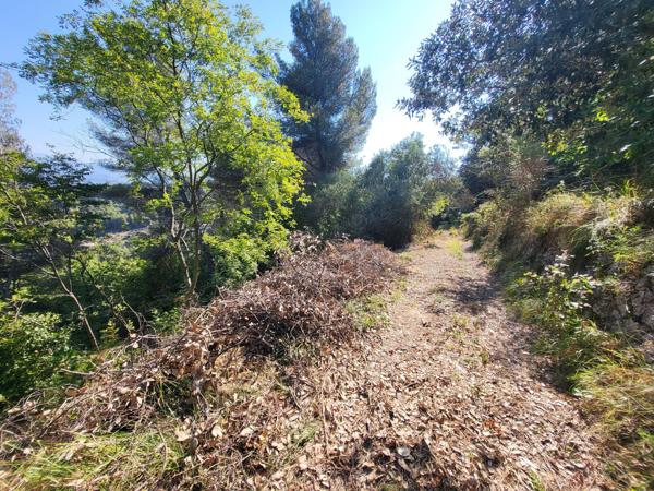 Terrain - 16415 m² Exclusivité efficity