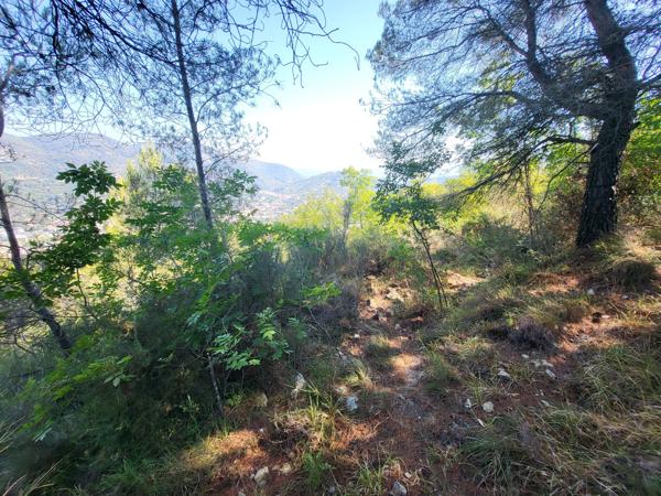 Terrain - 16415 m² Exclusivité efficity