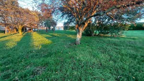 AUTERIVE-Terrain constructible 3293 m² Auterive (31190)