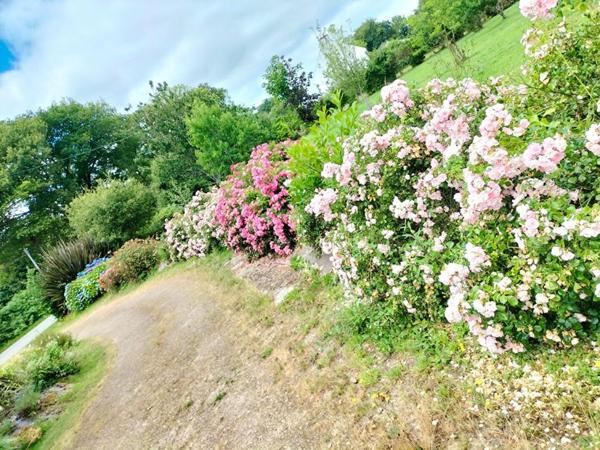 Exclusivité Maison  4 pièces 90 m2