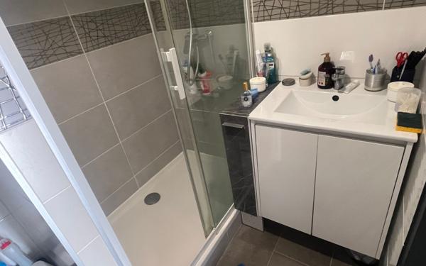 Immeuble à vendre    6 pièces •  Tullins