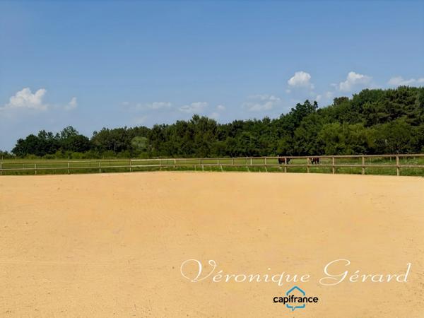 Propriété Equestre avec maison en Pierre de 250 M² avec carrière de 60X40