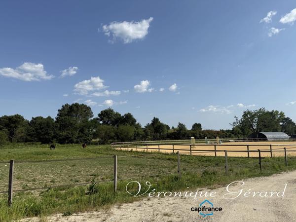 Propriété Equestre avec maison en Pierre de 250 M² avec carrière de 60X40