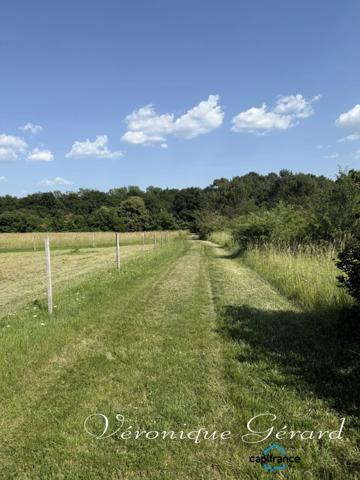 Propriété Equestre avec maison en Pierre de 250 M² avec carrière de 60X40