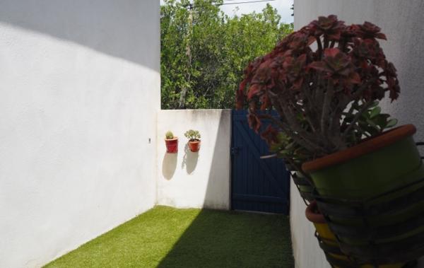 Vente Domaine Viticole bio - bâiment agricole Cascastel-des-corbieres   