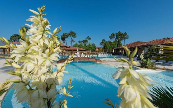 Maison à vendre    2 pièces • 32,72 m2 Parentis-en-Born