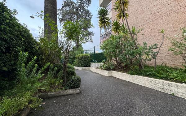 Appartement à louer    1 pièce • 17,53 m2 Nice