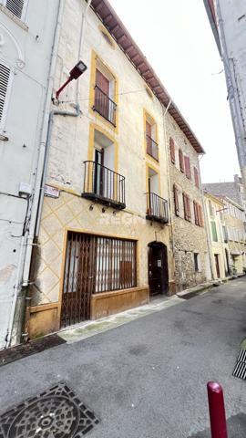 Arles-sur-Tech (66150) Ensemble immobilier avec terrains