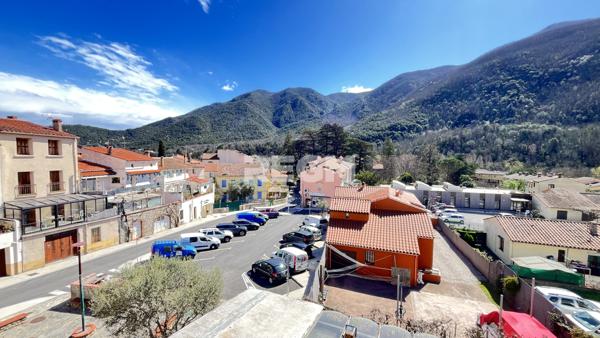 Arles-sur-Tech (66150) Ensemble immobilier avec terrains