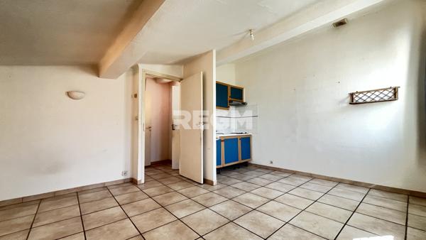 Arles-sur-Tech (66150) Ensemble immobilier avec terrains