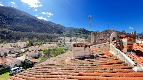 Arles-sur-Tech (66150) Ensemble immobilier avec terrains