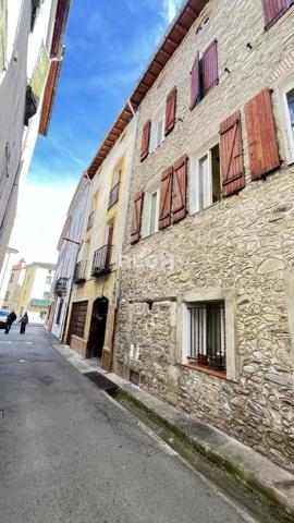 Arles-sur-Tech (66150) Ensemble immobilier avec terrains