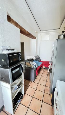 Arles-sur-Tech (66150) Ensemble immobilier avec terrains