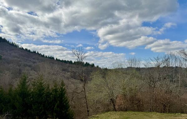Charmante Maison Traditionnelle avec Jardin, Garage et Terrasse à Bar