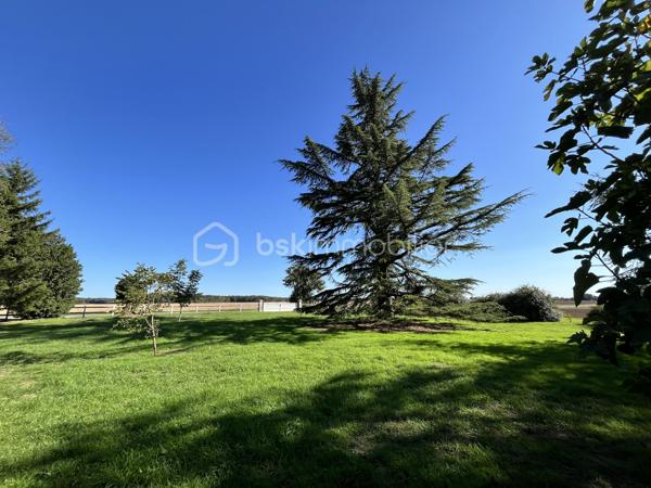 Propriete de 258 m²