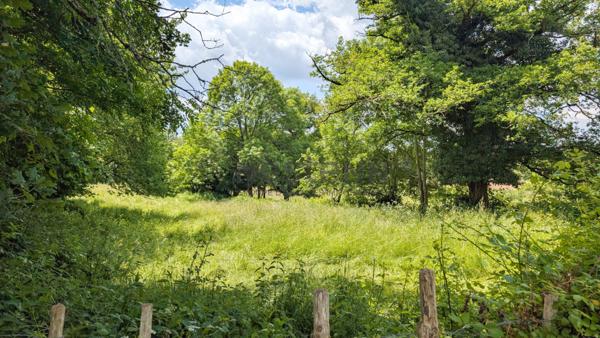 A rénover - Grange 100m2 et Maison 65m2 à Dompierre Les Eglises - terrains