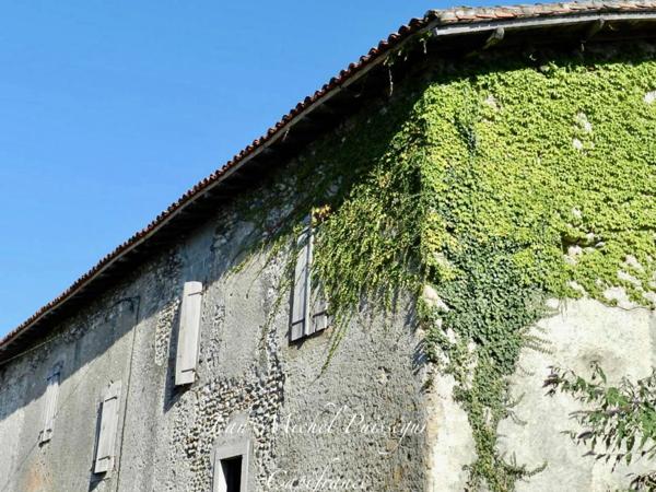 Dpt Haute Garonne (31), à vendre proche de Saint Gaudens Maison Ancienne de 300m2 Dépendances & Jardin