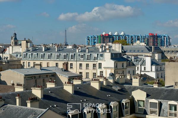 Duplex lumineux avec vue panoramique sur le musée Picasso