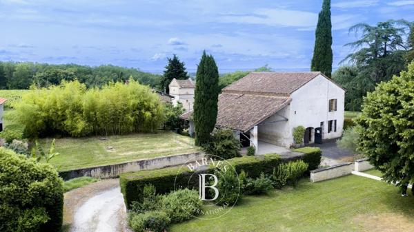 Albi, Propriété  510 m² à vendre