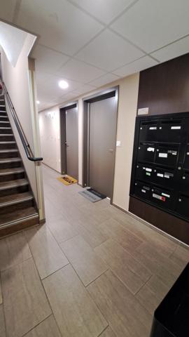 APT  T4 LIBRE TBE SECTEUR CAMPUS CHU