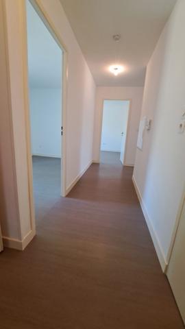 APT  T4 LIBRE TBE SECTEUR CAMPUS CHU