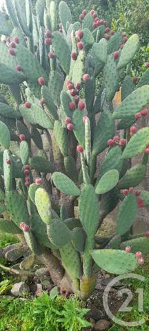 Maison à vendre  7 pièces - 142 m2 ST MICHEL EN L HERM - 85