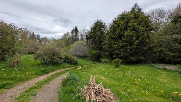 Maison en campagne, à finir de rénover - Grand terrain