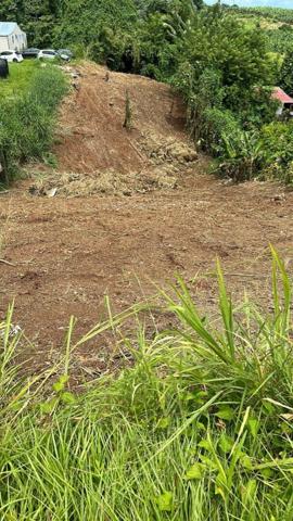 Terrain à vendre    1 490 m2 Ducos