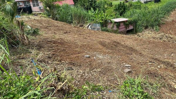 Terrain à vendre    1 490 m2 Ducos