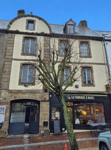 Centre ville immeuble de 8 pièces sur sur une surface de 233m².