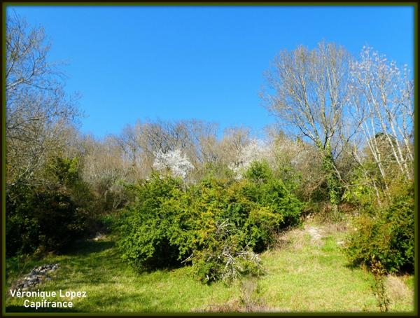 EXCLUSIVITE. AGEN proche du centre, belle demeure en pierres 7 pièces, véranda, piscine, pigeonnier, grand garage sur terrain de 3 951,00 m²