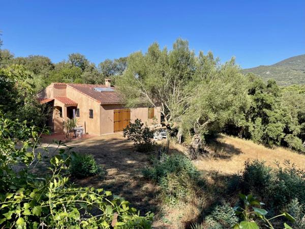 Vente Maison 9 pièces 246 m2 à Sartène