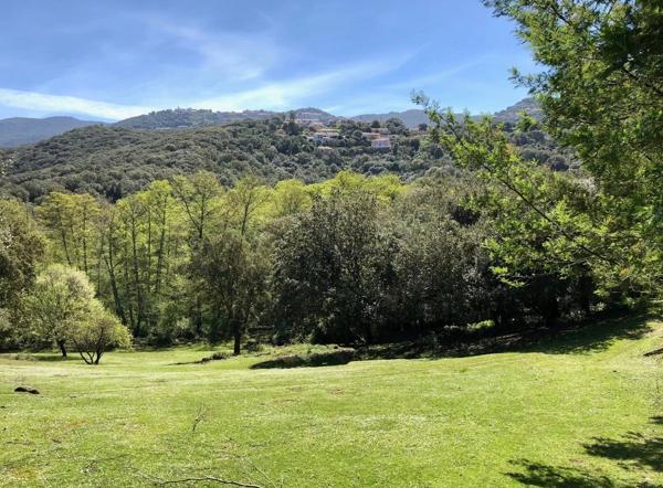 Vente Maison 9 pièces 246 m2 à Sartène