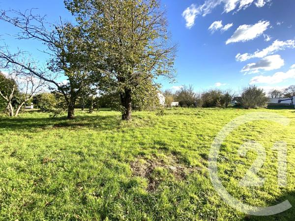 Terrain à vendre  251 m 2   TREILLIERES  - 44