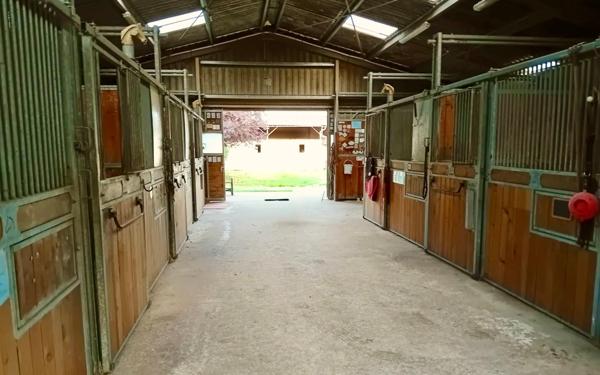 propriété équestre 17 hectares avec logis charentais