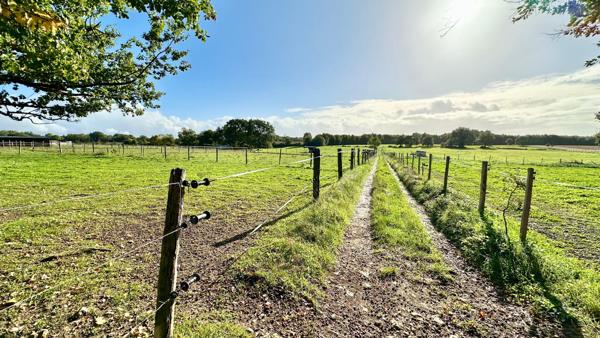 propriété équestre 17 hectares avec logis charentais