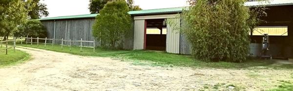 propriété équestre 17 hectares avec logis charentais