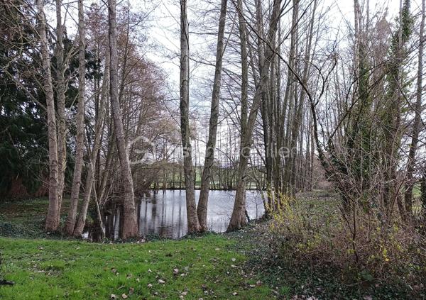 Terrain de 2 900 m²