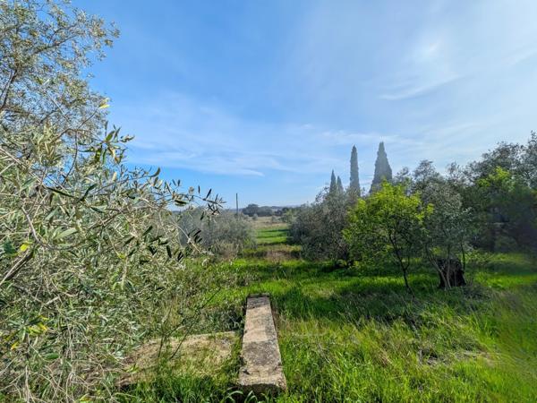 Terrain de 3 730 m² avec potentiel de construction – Réseaux à proximité – Cesseras