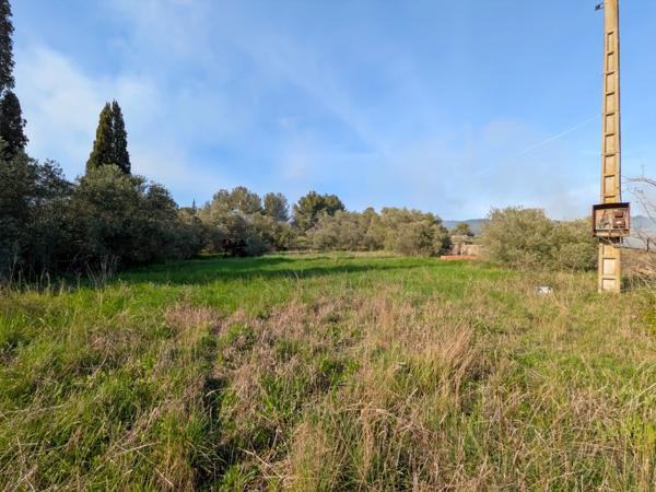 Terrain de 3 730 m² avec potentiel de construction – Réseaux à proximité – Cesseras