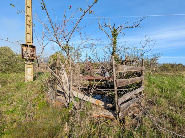 Terrain de 3 730 m² avec potentiel de construction – Réseaux à proximité – Cesseras