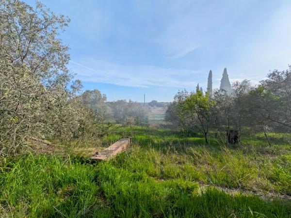 Terrain de 3 730 m² avec potentiel de construction – Réseaux à proximité – Cesseras