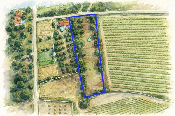 Terrain de 3 730 m² avec potentiel de construction – Réseaux à proximité – Cesseras