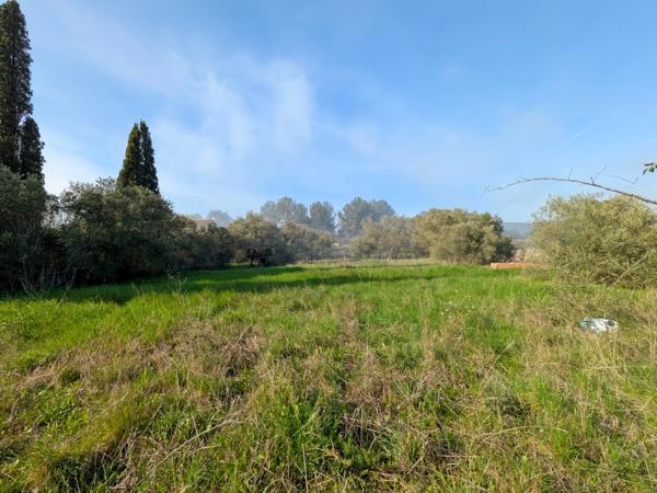 Terrain de 3 730 m² avec potentiel de construction – Réseaux à proximité – Cesseras
