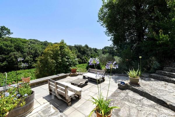 Vignoble de 377m2 au coeur de la nature - Saint-Michel d'Euzet
