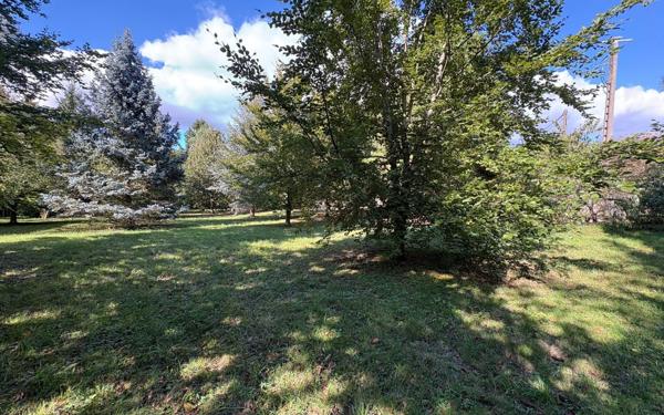 Terrain à vendre    Saâcy-sur-Marne