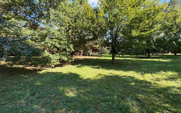 Terrain à vendre    Saâcy-sur-Marne