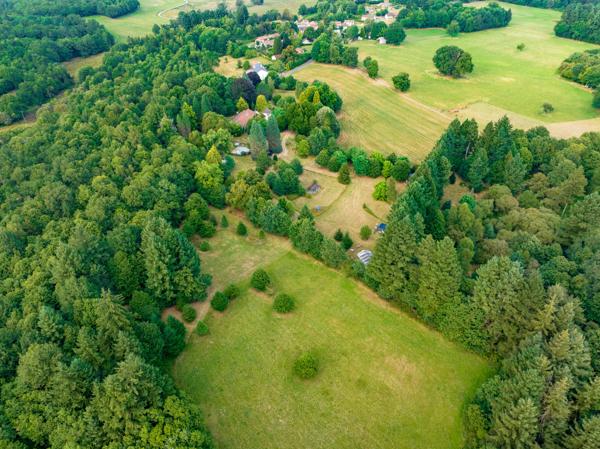 Commerce à vendre à Marval (87440) - Haute-Vienne