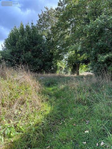 Maison de ville à vendre à Carhaix-Plouguer dans le Finistère (29270), ref : C0245